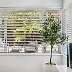 Kaleido Nook Enchanting 3Br Magic On Rugby Street